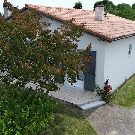Feriehus L'ostau Familiale Du Bassin - 6per Piscine Clim *